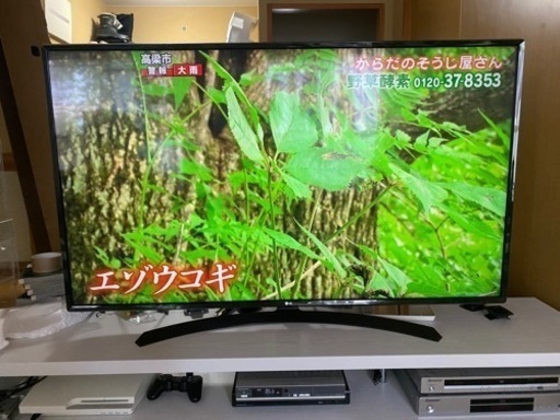家電 テレビ 液晶テレビ