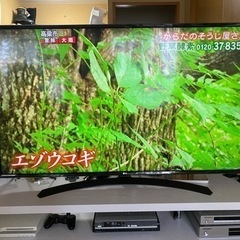 家電 テレビ 液晶テレビ