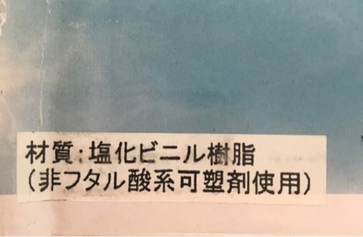 浮き輪フライドポテト