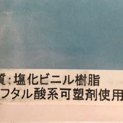 浮き輪フライドポテトの画像