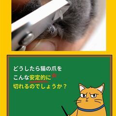新品★猫用爪切り「スマートネイルクリッパー」の画像