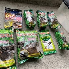 カブトムシ・クワガタ飼育セットの画像
