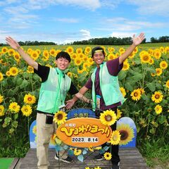 大人気！観光地でのフォトスタッフ大募集！土日祝日のみOK！！札幌市内から毎日送迎の画像