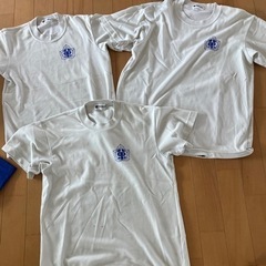小学校指定体操着
