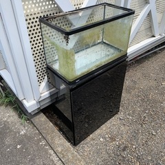 生活雑貨 家庭用品 ガーデニング