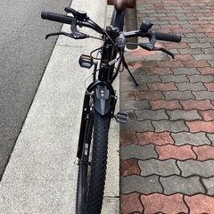 🚴ブリヂストンbwx26インチの画像