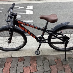 🚴ブリヂストンbwx26インチの画像