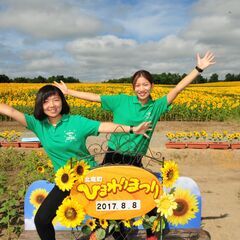 大人気！北竜町ひまわり祭り写真販売スタッフ募集！札幌市内から毎日送迎！７月２０日～の画像