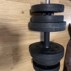 スポーツ フィットネス、トレーニング