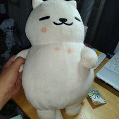 ねこあつめ