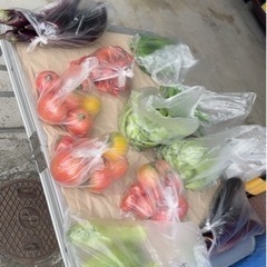 無人販売　
新鮮野菜