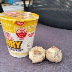 無農薬野菜の画像