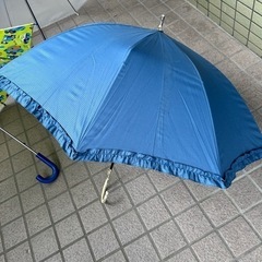 雨具日傘の画像