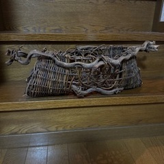 名称わかりませんがの画像