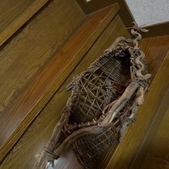名称わかりませんがの画像