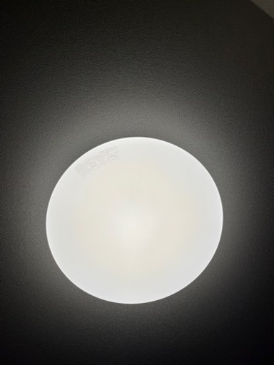 証明　円型　2022 W2612240 美品
