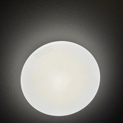 証明　円型　2022 W2612240 美品
