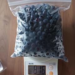Sale価格( ｀・∀・´)ﾉ 自家栽培　🍇無農薬冷凍ブルーベリー🍇③