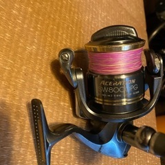 スポーツ マリンスポーツ