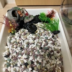 水槽の画像