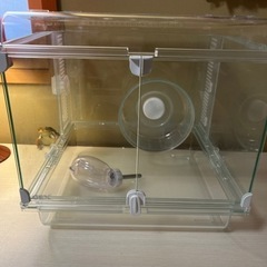 ハムスター用品　最終値下げ の画像