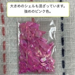 ジェルネイル用の　ラメ・シェル【8月末処分予定】