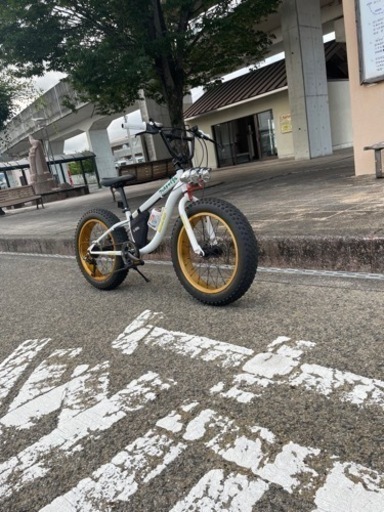 ファットバイク