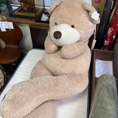 くま　ぬいぐるみ　ビッグ