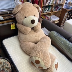 くま　ぬいぐるみ　ビッグの画像