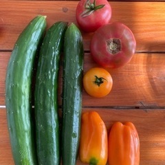 野菜