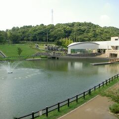 散歩しながら話しませんか？