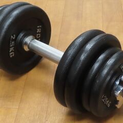 ♪IROTEC/アイロテック ダンベル 17.5kg♪の画像