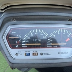 原付 旧車 リードSS 50 ①の画像