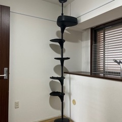 キャットタワーの画像