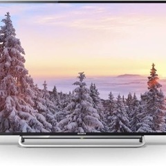 家電 テレビ 液晶テレビ
