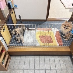室内お片付け、お掃除致します(  ˶ˊᵕˋ˶)