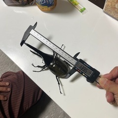 ありがとうございました　ヘラヘラの画像