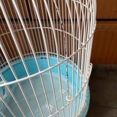 鳥かごの画像