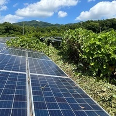 ご協力ありがとうございました。山形　朝日町　草刈り作業員募集2名　太陽光施設での作業の画像