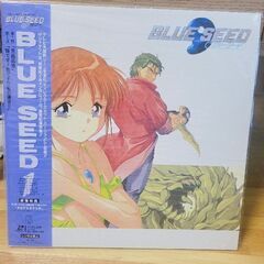 レーザーディスク　LD　アニメ　セット　まとめ　エルハザードなどの画像