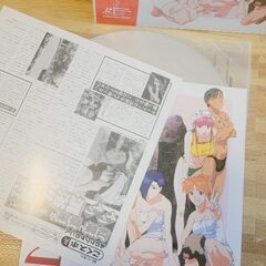 レーザーディスク　LD　アニメ　セット　まとめ　エルハザードなどの画像