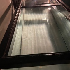 １２０cm水槽の画像