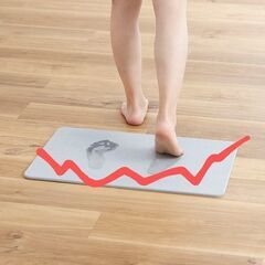 珪藻土マット　珪藻土製品　ワケアリありませんか？　珪藻土バスマッ...