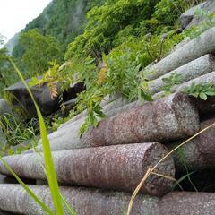 ガーデニング　石　円柱　家庭菜園の画像