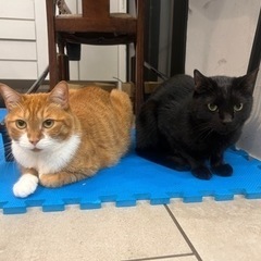 自宅前でのガレージセール
