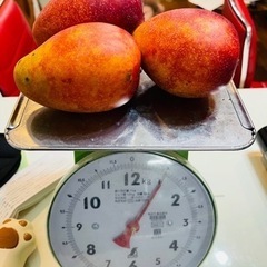 訳ありマンゴー１kg