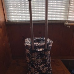 【終了しました】ショッピングカートを差上げますの画像