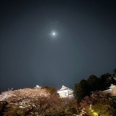 ナイトウォーキング🚶‍♀️🚶‍♀️🚶‍♀️しませんかー！ - メンバー募集