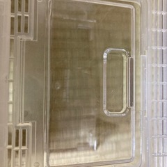 虫かご　100均　夏休み　の画像