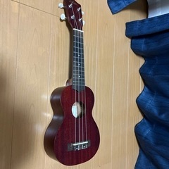 決まりましたウクレレ